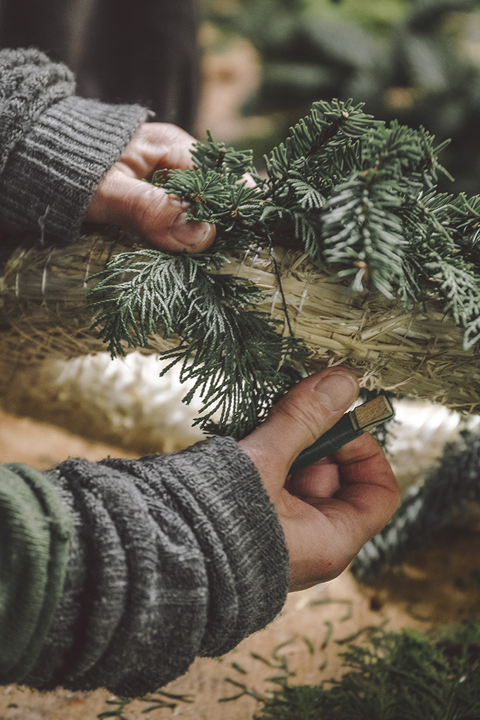 Trockenblumen in und neben einer Vase