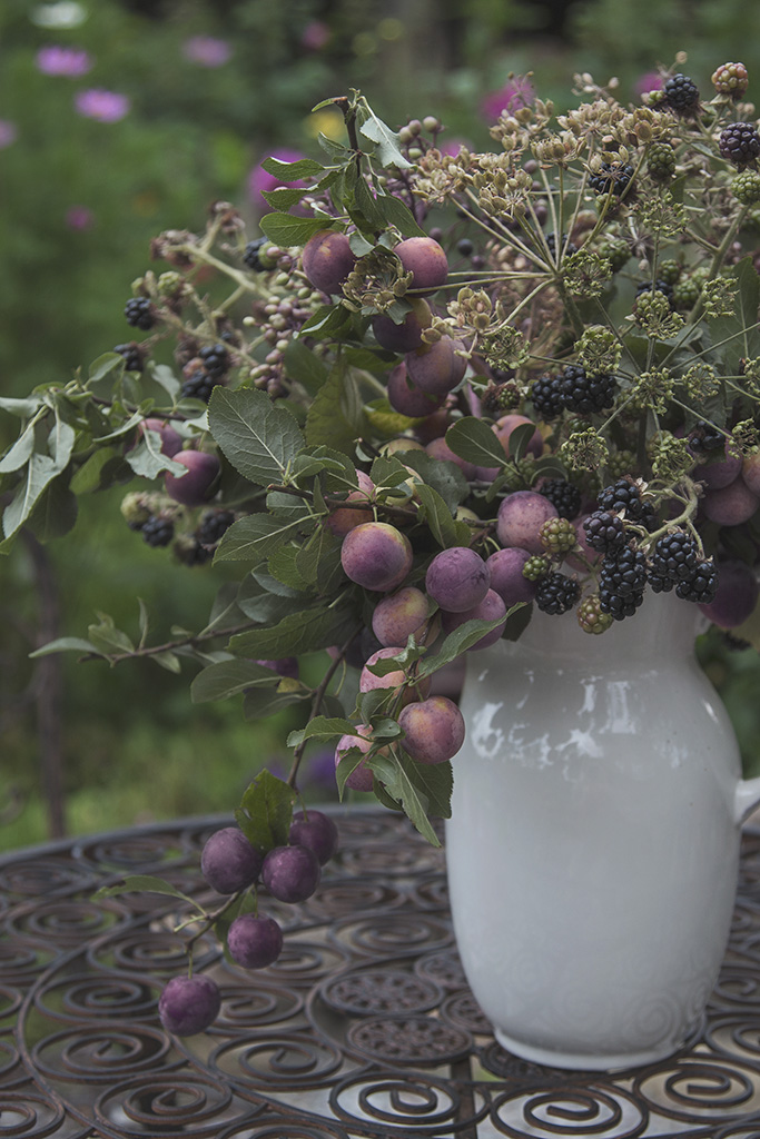 Trockenblumen in und neben einer Vase