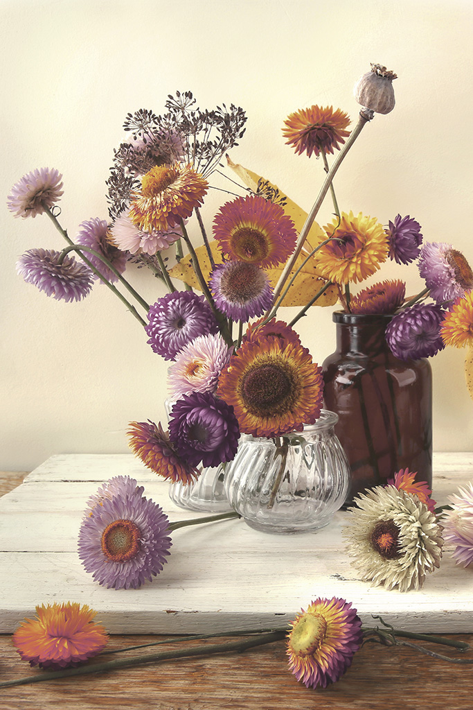 Trockenblumen in und neben einer Vase