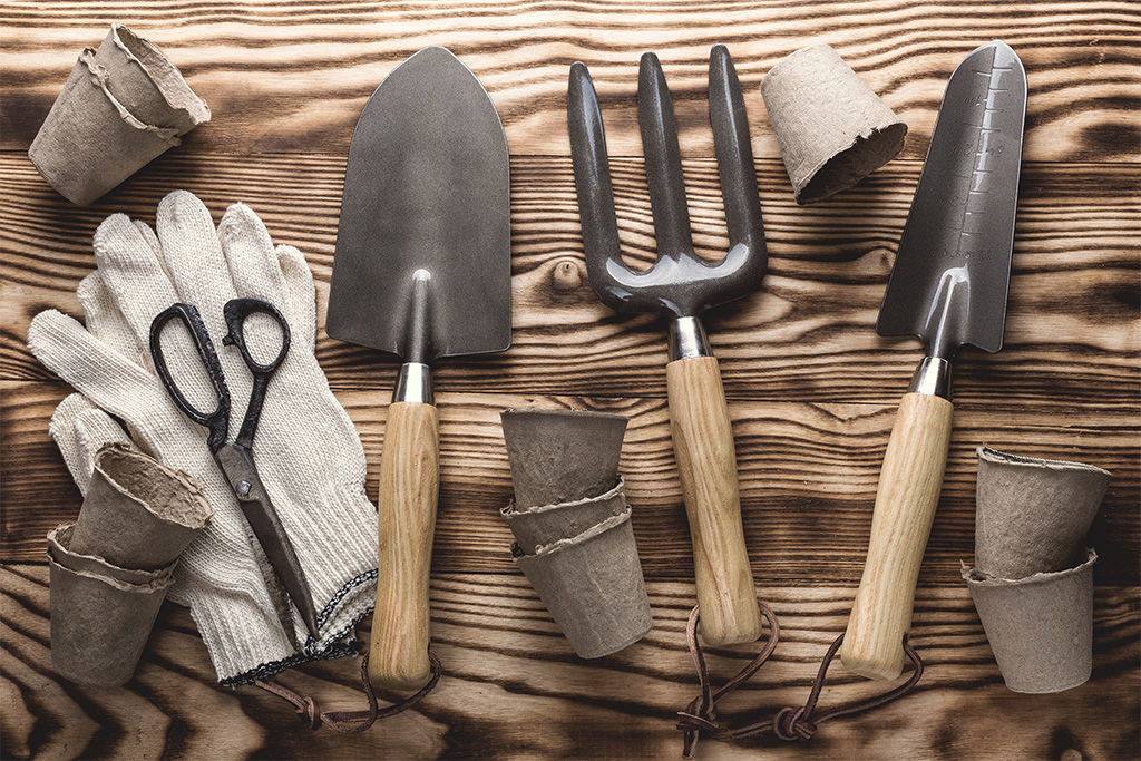 Gartenwerkzeuge auf Holzhintergrund